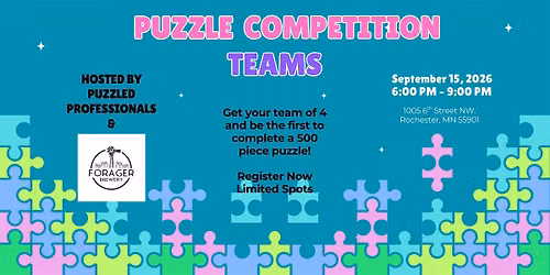 Puzzle Competition Teams