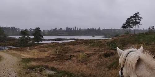 Suppetur i Frederiksh\u00e5b Plantage