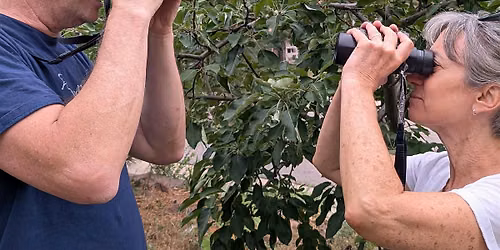 Birding 101