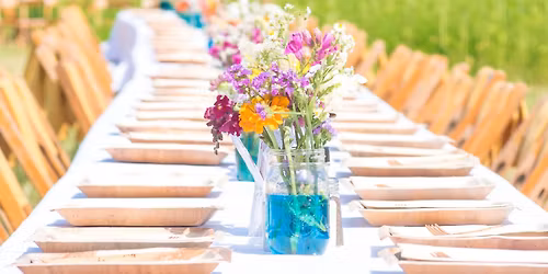 Dinner in the Sunflowers