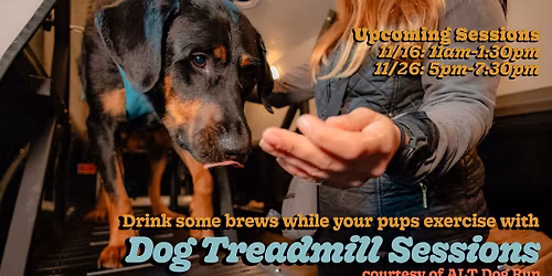 Dog Treadmill Sessions @ OPE BREWING! w\/ ALT Dog Run