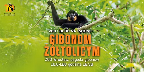 ZOO i DODO na ratunek: gibonom \u017c\u00f3\u0142tolicym