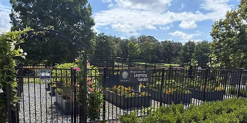 MLK, Jr. Learning Garden: Companion Planting