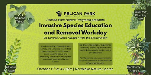 Invasive Species Education and Removal Workday
