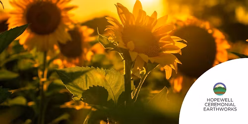 Homeschool Days: Seeds of the Past 