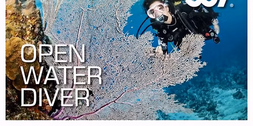 1\/2 PRICE OPEN WATER DIVER COURSE