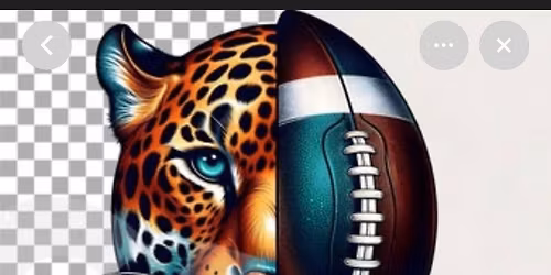 ALL4ONE ELITE FOOTBALL CAMP  Time and date TBD 