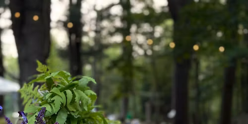 Craft & Sip: Natural Dyes