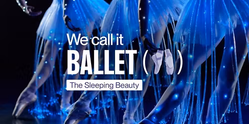 We Call It Ballet - Sleeping Beauty Dance and Light Show