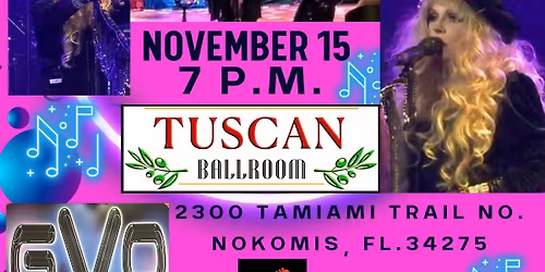 STEVIE NICKS TRIBUTE - ENCHANTED