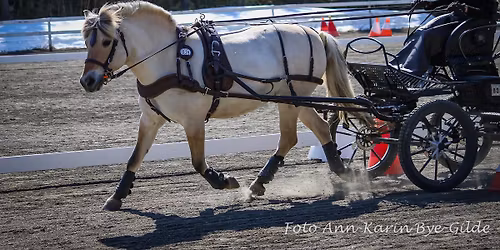 Tr\u00f8ndelagscup\u2019en i Kombinert maraton, Avd. 1
