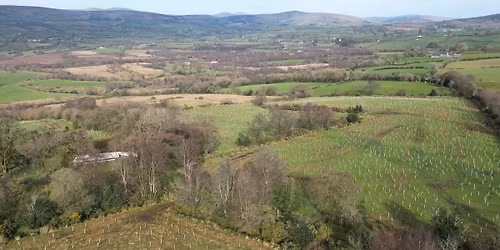 Lenamore Wood Open Day: First Look at our Rainforest Restoration Project