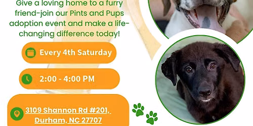 Monthly Pints & Pups at Gizmo Durham