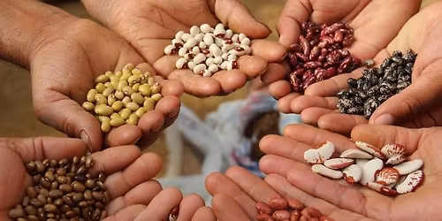 Open House & Seed Exchange