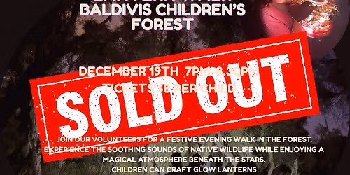 Lantern Walk- Baldivis Children's Forest