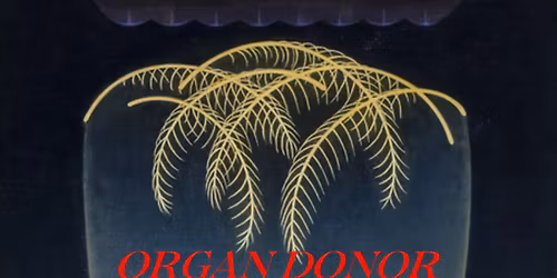 ORGAN DONOR\/DET GYLNE RIKET\/RIKT LIK\/ TRI STK\/\/\/UKULTUR