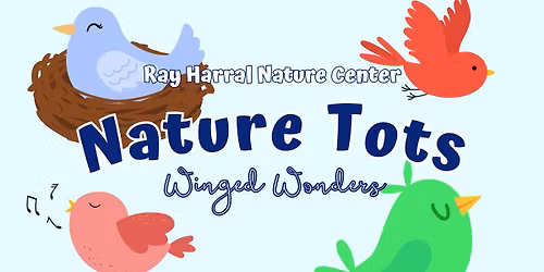 Nature Tots - Winged Wonders