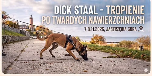 Dick Staal - Seminarium z tropienia po twardych nawierzchniach