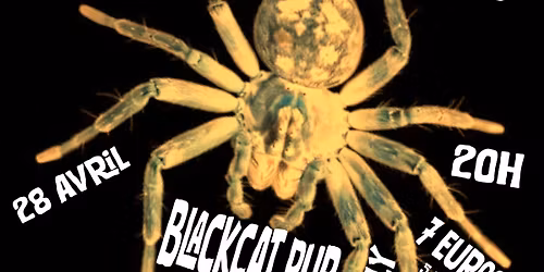 KAOSQUAD + RABIES + BRULEZ! @ BLACK CAT PUB, BORDEAUX