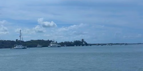 Tiger Beach Sand Bar Day | MarineMax Jupiter