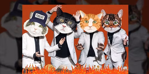 Fantastic Cat