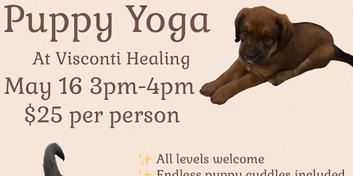 Puppy Yoga