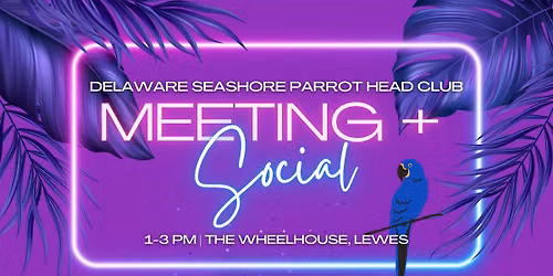August Social + Meeting