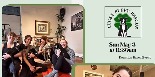 Lucky Puppy Donation Based Yoga Class 