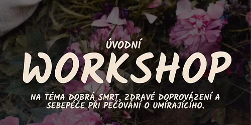 \u00davodn\u00ed WORKSHOP