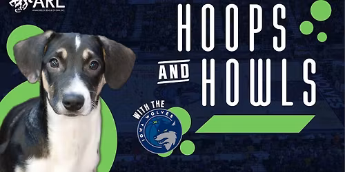 Oklahoma City Blue at Iowa Wolves