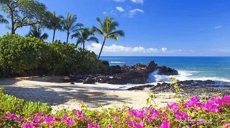 Tropical Paradise Afternoon Tea (Dine-In or Carry Out)
