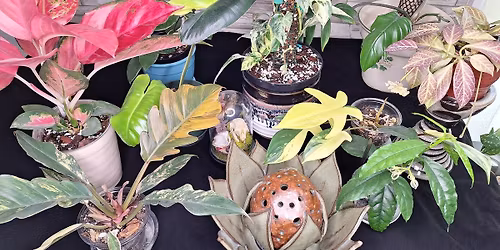 Mid-Michigan Plant People Spring Plant Sale