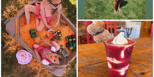 Blueberry Festival