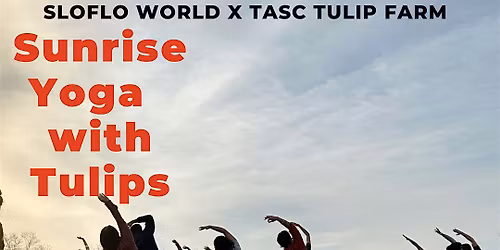 Sunrise Yoga with Tulips