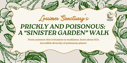 Prickly and Poisonous: The Sinister Garden Walk