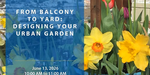 From Balcony to Yard: Designing Your Urban Garden