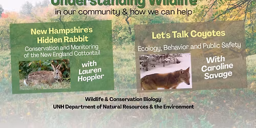 Understanding Wildlife in our Community and How We Can Help