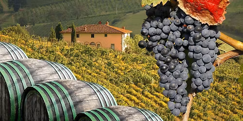 Wines of Northern Italy