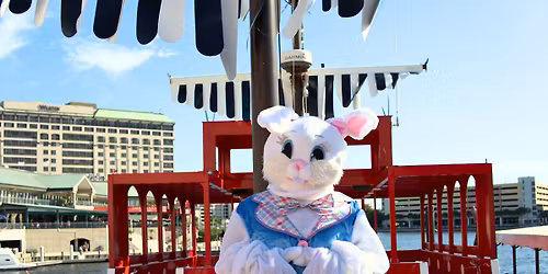 Easter Bunny Pirate Cruise in Tampa | Things to do for Easter 2026