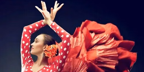 Flamenco Night by London Flamenco Project - Live in Barnes