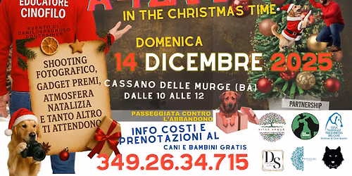 Passeggiata 4zampe in the ChristmasTime \ud83c\udf84