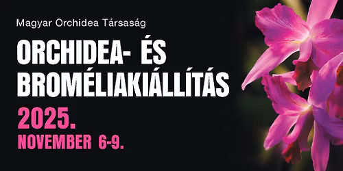 Orchidea- \u00e9s brom\u00e9liaki\u00e1ll\u00edt\u00e1s 2025 \u0151sz