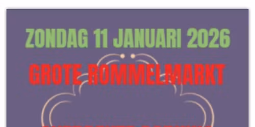 Grote Rommelmarkt Overdekte parking Brico en Decathlon