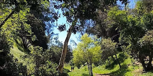 Integral Qigong and Tai Chi: 2nd & 4th Saturdays, Silver Lake "Wilderness"