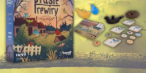 Turniej "Ptasie Rewiry" (Festyn Osiedlowo - Parafialny)