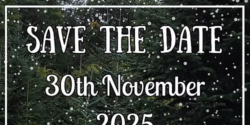 Idle Village Christmas Lights Switch On