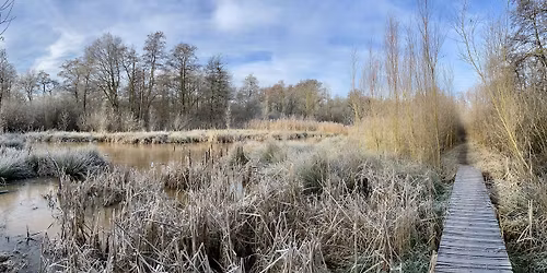 Winterse wandeling Griesbroek