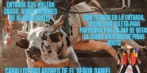 Monta de toros 