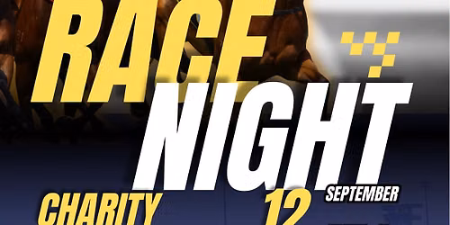 Steelers charity night