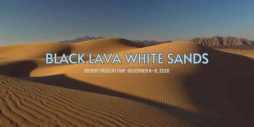 Desert Museum Travel: Black Lava White Sand